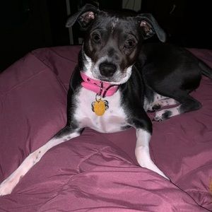 Meet your Posher, Annette